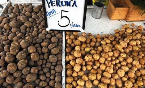 Mitä eroa on varhaisperunalla ja uudella perunalla? | 1Uutiset - Lukemisen tähden | Scoop.it