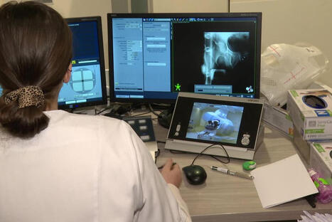 "On ne ressent aucune douleur" : qu'est-ce que la #radioth&eacute;rapie #st&eacute;r&eacute;otaxique, cette m&eacute;thode innovante qui soigne les #cancers masculins ? #CancerDeLaProstate @ConstanceHuck @Achard_Verane #Cance... | autour de la RADIOTHERAPIE | Scoop.it