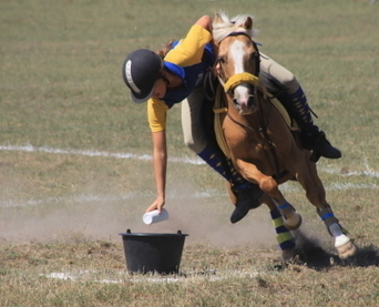 Les pony games en terres clunisoises | Cheval et sport | Scoop.it