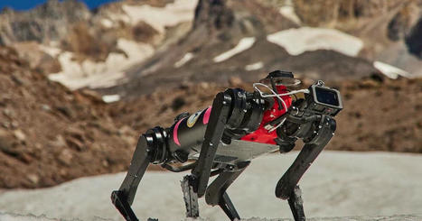 Un chien sur la Lune : ce robot quadrupède s'entraîne à marcher sur notre satellite | Aerospace & Mobility | Scoop.it