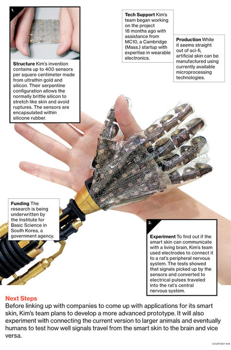 Artificial Skin Can Feel Pressure and Heat | qrcodes et R.A. | Scoop.it