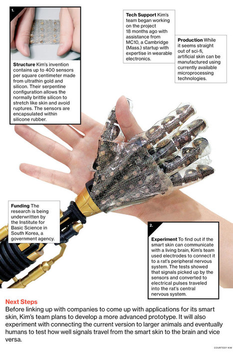 Artificial Skin Can Feel Pressure and Heat | Robótica Educativa! | Scoop.it