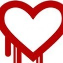 Spam : Un malware déguisé en outil de correction du bug HeartBleed | Libertés Numériques | Scoop.it