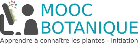 MOOC Botanique de TelaBotanica | Agir pour la biodiversité ! | Scoop.it