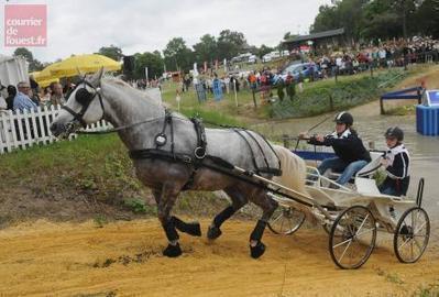 Saumur. 11 nations au concours international d'attelage du 6 au 9 juin | Cheval et sport | Scoop.it