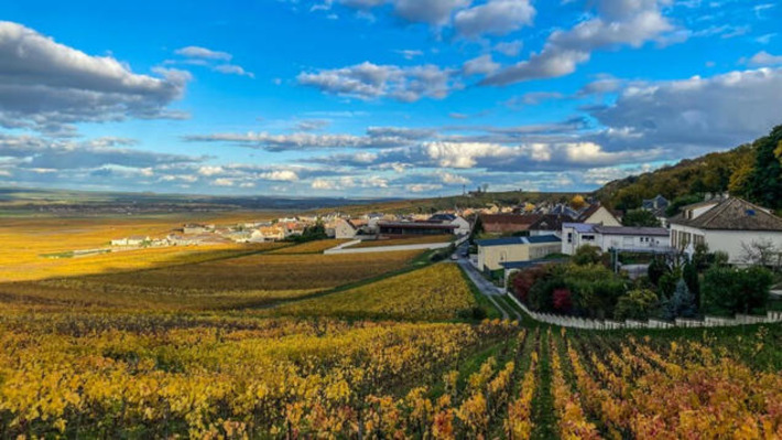 Foreigners Are Snapping up &lsquo;Dream&rsquo; Chateaus on Fire Sale as France&rsquo;s Wine Industry Struggles | Real Estate Report | Scoop.it