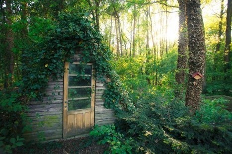 Quiet cabin in Belgium | 1001 Gardens | 1001 Gardens ideas ! | Scoop.it