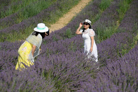 "Nos sites sont très photogéniques" : un guide des bonnes pratiques à destination des créateurs de contenu vise à limiter le surtourisme - France3 Provence-Alpes-Côte d'Azur | Boîte à outils numériques | Scoop.it