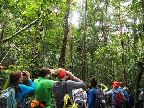 Field Report: Students of the Rainforest | RAINFOREST EXPLORER | Scoop.it