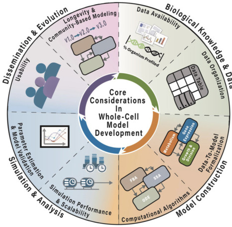 Efficient computational frameworks for whole-cell models | cin | RMH | Scoop.it