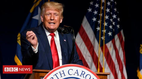 Donald Trump calls Bitcoin 'a scam against the dollar' | The Economic Method | Scoop.it