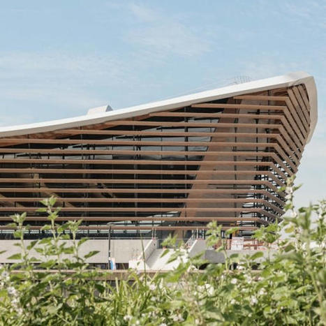 Timber Aquatics Centre completes in Paris for 2024 Olympic Games | Real Estate Plus+ Daily News | Scoop.it