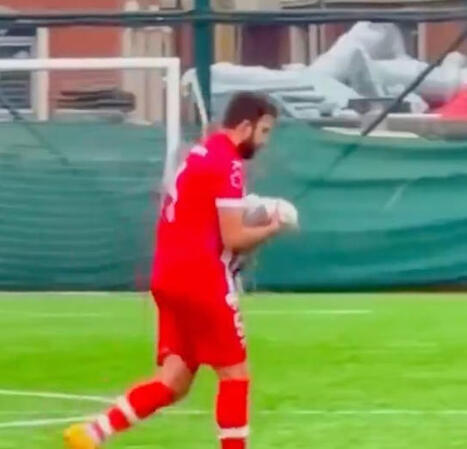 En plein match, un ballon percute une mouette, un joueur lui fait un massage cardiaque | Biodiversit&eacute; - @ZEHUB on Twitter | Scoop.it