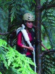 TreeTop Barbie:  Queen of the Forest Canopy | Rainforest CLASSROOM | Scoop.it