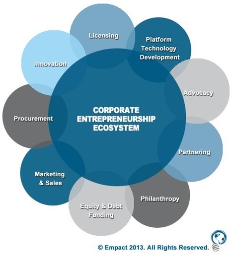 What Startups Need to Understand About The  Booming Corporate Entrepreneurship Ecosystem | Bridging the Gaps | Scoop.it