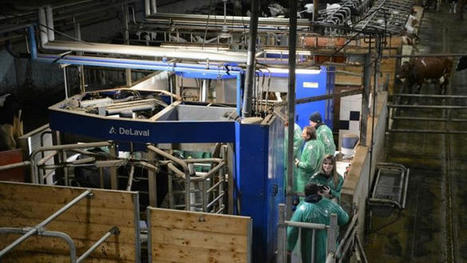 Delaval se met à l'IA pour détecter les chaleurs et les maladies - Agri Mutuel | Pour innover en agriculture | Scoop.it