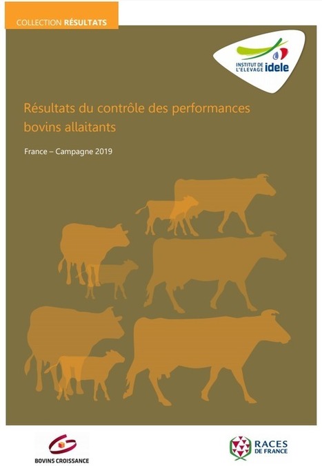 Résultats du Contrôle des Performances des Bovins Allaitants - 2019 | Actualités de l'élevage | Scoop.it