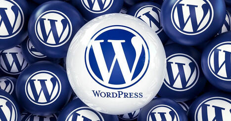 Monétiser un site WordPress : les conseils d’Alex Borto, fondateur de WPMarmite | Site web et référencement | Scoop.it