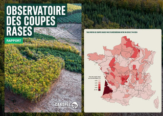 For&ecirc;ts : un rapport d&eacute;nonce des coupes rases encore trop importantes au vu des enjeux climatiques | Environnement - D&eacute;veloppement durable - Climat | Scoop.it