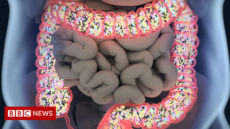 Stool tests might help spot early pancreatic cancer | 21st Century Innovative Technologies and Developments as also discoveries, curiosity ( insolite)... | Scoop.it