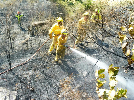 Aragón activa la fase de alerta ante el riesgo de incendios forestales | Vallées d'Aure & Louron - Pyrénées | Scoop.it