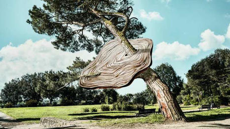 Le Voyage à Nantes 2024 fait dialoguer l’art et l'arbre | metropole.nantes.fr | Les clefs du Van | Scoop.it