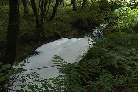 Pollution des eaux  : un nouveau jugement attend l'entreprise corrézienne Eyrein Industrie / le 12.01.2022 | Pollution accidentelle des eaux par produits chimiques | Scoop.it