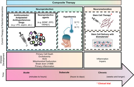 Synergistic effects of electroacupuncture and b...