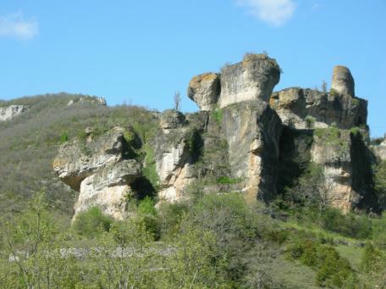 ROCANATURE- Concilier pr&eacute;servation de la biodiversit&eacute; et pratiques des sports de nature en milieux rocheux | Biodiversit&eacute; | Scoop.it