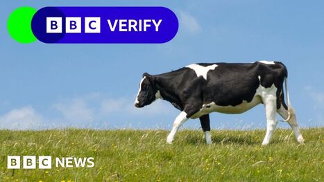FOOD: Why misinformation about cow feed additive Bovaer prompted people to throw Arla milk away | ALIMENTATIONS | Scoop.it