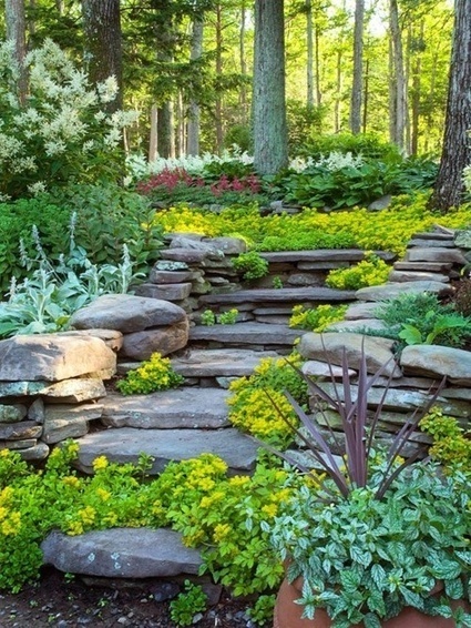 Forest frolic | 1001 Gardens ideas ! | Scoop.it