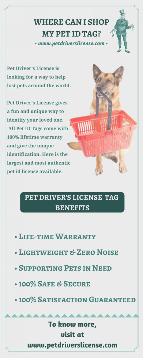 pet driver's license id tag