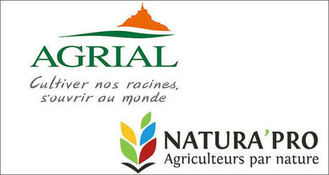 Rapprochement en vue pour les Coopératives Agrial et Natura’Pro | Actualité Bétail | Scoop.it