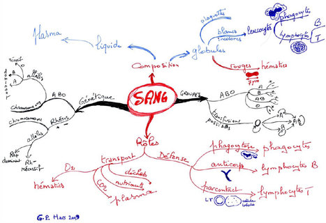 Les cartes mentales : module de formation | Cartes mentales | Scoop.it