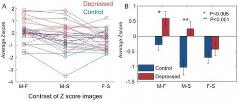 Can A Picture Of Your Mother Diagnose Depression? | Science News | Scoop.it