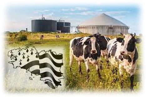 L’Ille-et-Vilaine est championne de la production laitière en France, mais… | Lait de Normandie... et d'ailleurs | Scoop.it