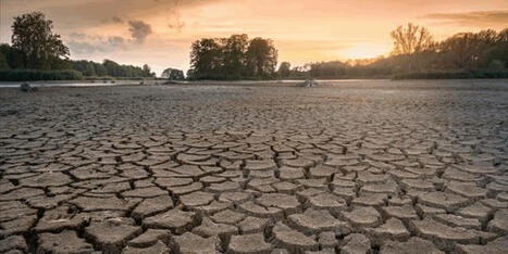 Global water scarcity: Challenges and policy responses with a focus on TURKIYE | MED-Amin network | Scoop.it