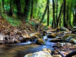 The Greening of Greece - the ecologic opportunity for Europe to embrace | Peer2Politics | Scoop.it