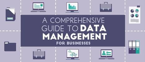 A Comprehensive Guide to Data Management for Businesses | Data Science and Computational Thinking [inc Big Data and Internet of Things] | Scoop.it