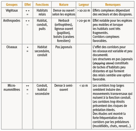 Corridors écologiques et conservation de la biodiversité, intérêts et limites pour la mise en place de la Trame verte et bleue | PAYSAGE ET TERRITOIRES | Scoop.it