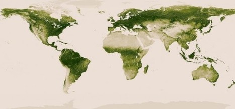 Mapa interactivo con la vegetación en nuestro planeta | Las TIC y la Educación | Scoop.it