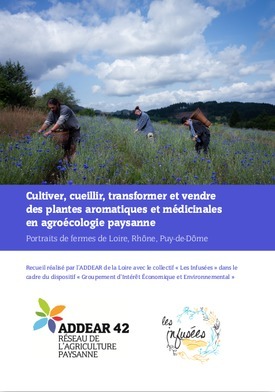 Cultiver, cueillir, transformer et vendre des plantes aromatiques et médicinales en agroécologie paysanne - RD-agri | Pour innover en agriculture | Scoop.it