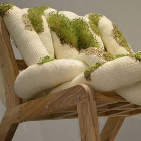 Chia-Chair designed for plants first and humans second | What's new in Design + Architecture? | Scoop.it
