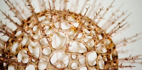 Unlocking Viral Secrets On Facebook: MIT Study | Internet Marketing Strategy 2.0 | Scoop.it