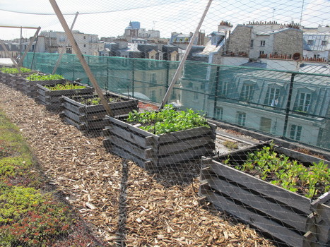 Ville nourricière | ESPACES VEGETALISES URBAINS | Scoop.it