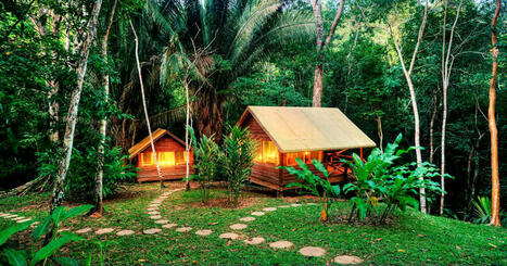 Chaa Creek Rainforest Retreat | Cayo Scoop!  The Ecology of Cayo Culture | Scoop.it