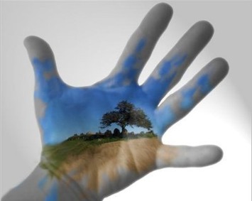 Gimp, premiers pas | TIC, TICE et IA mais... en français | Scoop.it