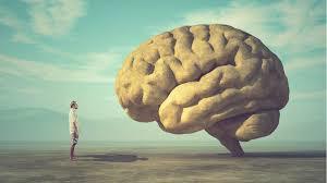 « Notre cerveau n’est pas fait pour penser le long terme » | Formation | Digital | Management... | Scoop.it