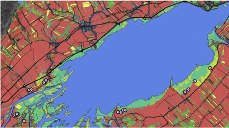 Original Paper in J Insect Conserv • Fournier Lab 2022 • Response of bee and hoverfly populations to a land-use gradient in a Quebec floodplain | Originals | Scoop.it