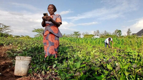 AI Chatbots: Giving farmers new choices&nbsp; | Revue de presse - Club DEMETER | Scoop.it